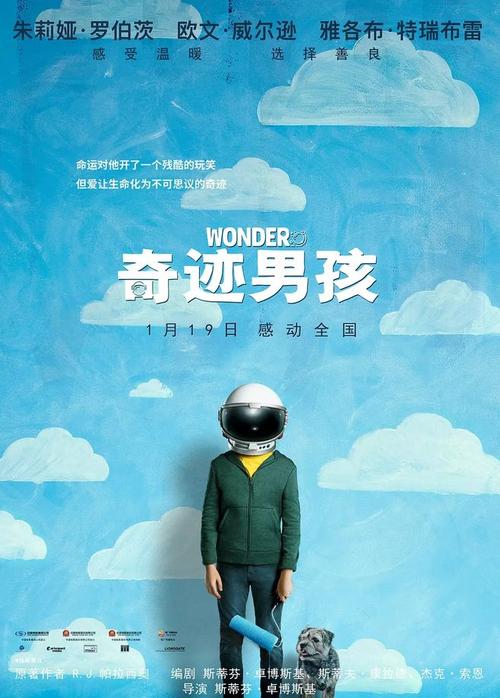 捷克驾照假的多少钱